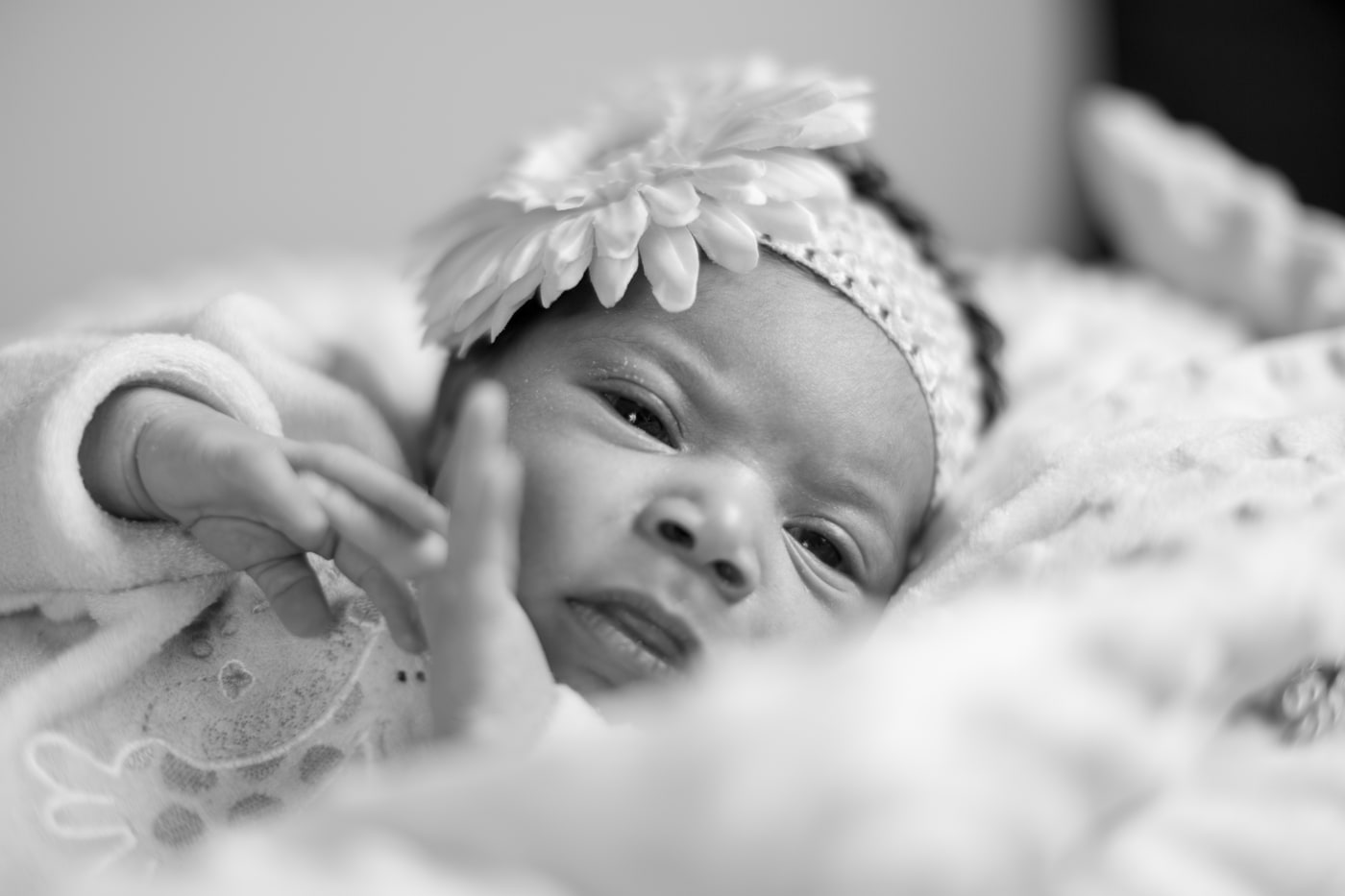 Newborn portrait with soft black-and-white expression.