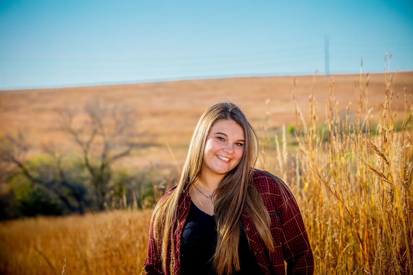 Blonde plaid, golden prairie field.
