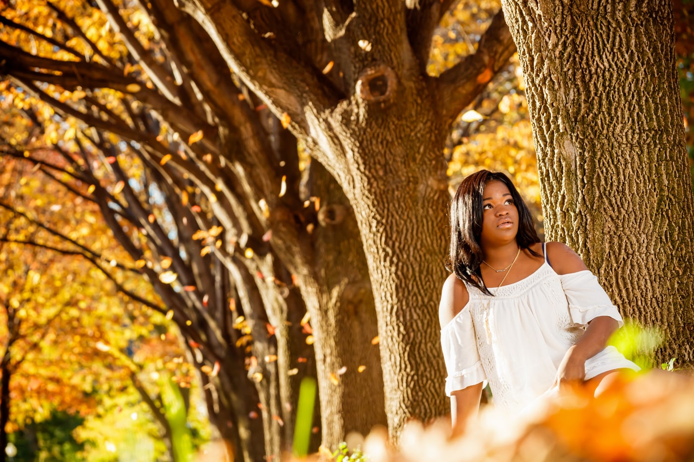Autumn senior portrait in golden trees. Photograph by Samuel Mfinanga for Mfinanga Photography + Motion.