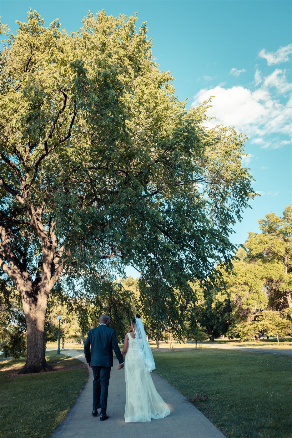 Bridal portrait in field.